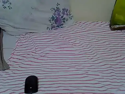 Twerl webcam