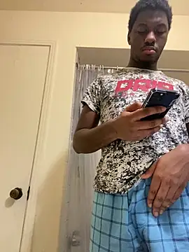 ThickDic28 webcam
