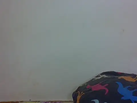 vinsishly webcam