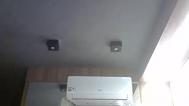 SkinnyKitten webcam
