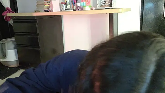 eva_sin18 webcam