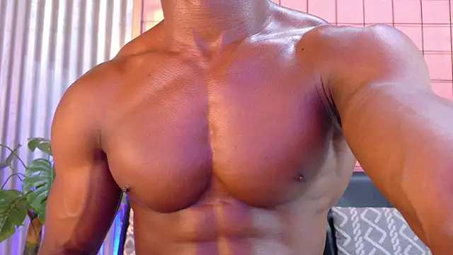 martin_killer webcam