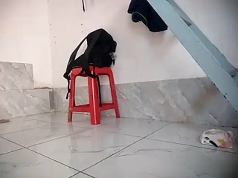 Palatable69-VN webcam