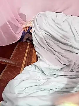 Phoebe-e webcam