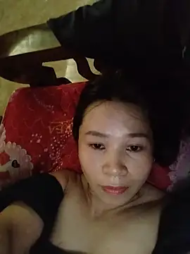Biva11 webcam