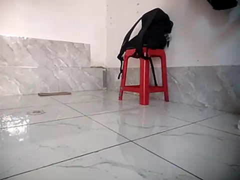 Palatable69-VN webcam