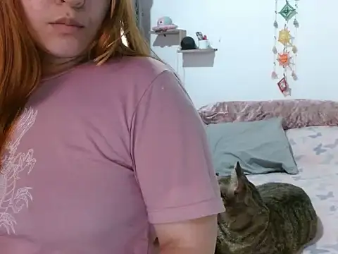 curvivan webcam
