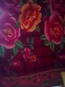 toyo_668 webcam