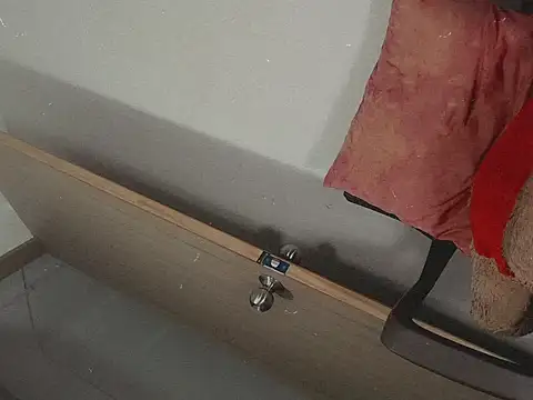 noeh_lasston webcam