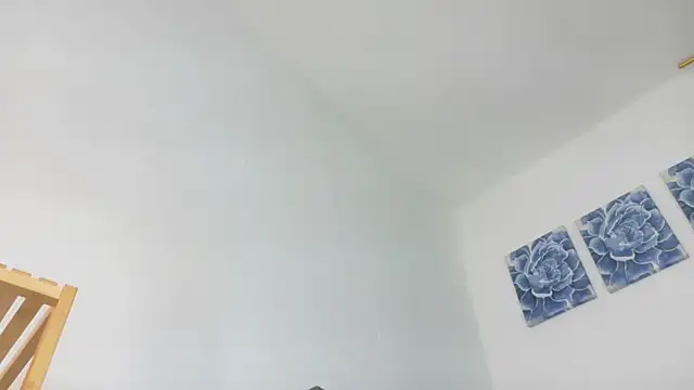 Ariadna-07 webcam