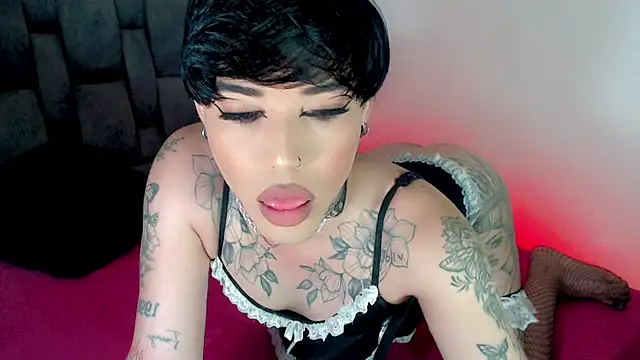 little_star_porn live cam on StripChat