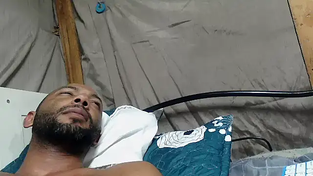 Camodick webcam
