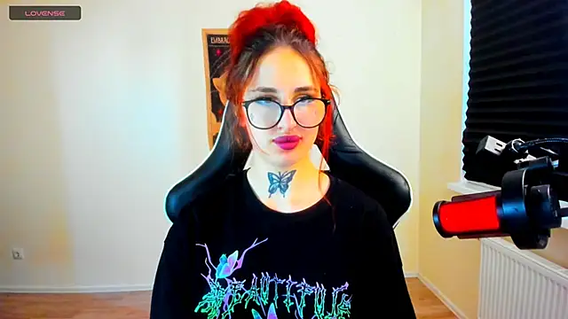 your_tora webcam