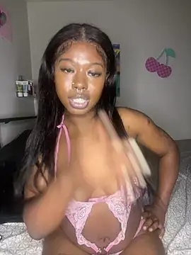 TinyBlazian901 webcam