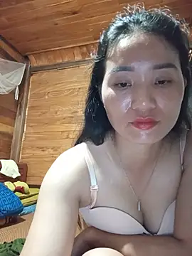 Td3di webcam