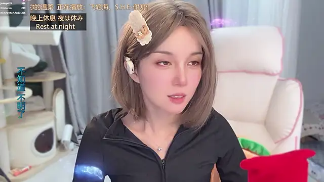 hi-AnAn webcam