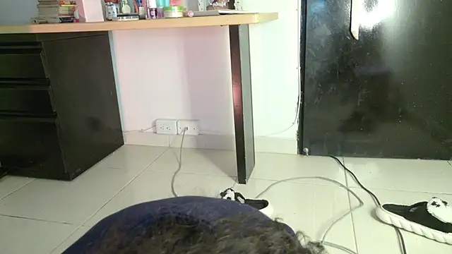 eva_sin18 webcam