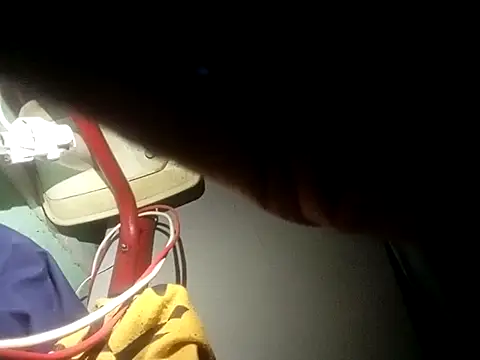 dantecruz19 webcam