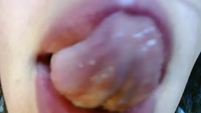 miss_evoleth2 webcam