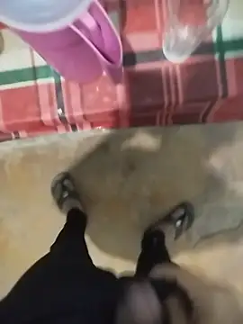 zerobert69 live cam on StripChat