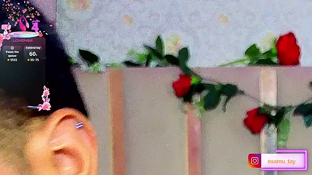 osamu_tay webcam