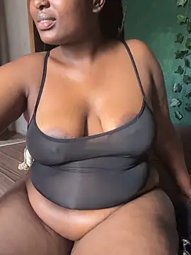 Sollybunny webcam