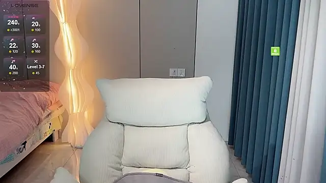 HH-1 webcam