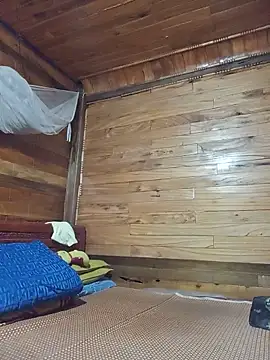 Td3di webcam