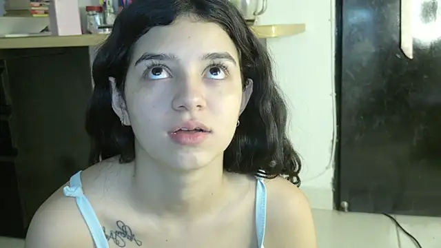 eva_sin18 webcam