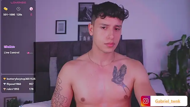 I_Gabriel webcam