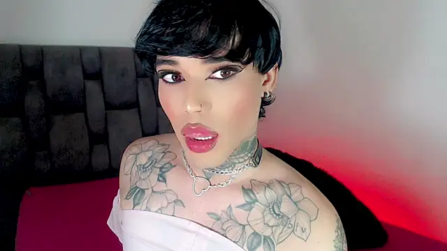 little_star_porn live cam on StripChat