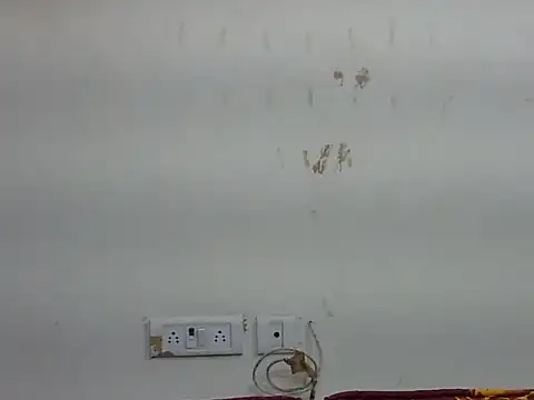 JANVI_06 webcam