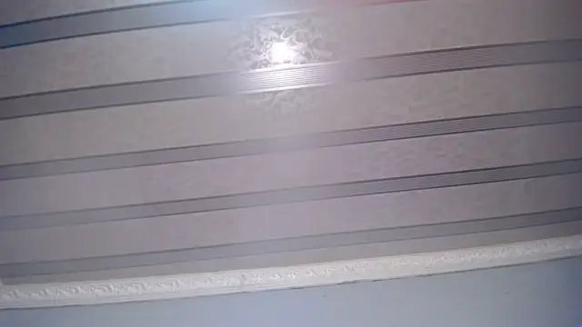 XPanther_24 webcam