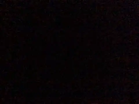 Salon1986 webcam