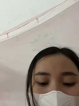 Zinsetka webcam