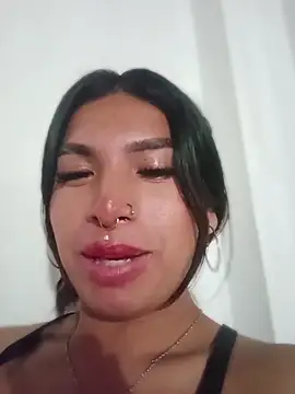 MeelFox webcam