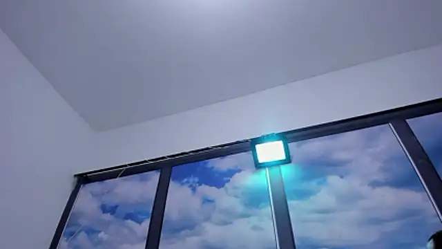 NickAndTylor webcam