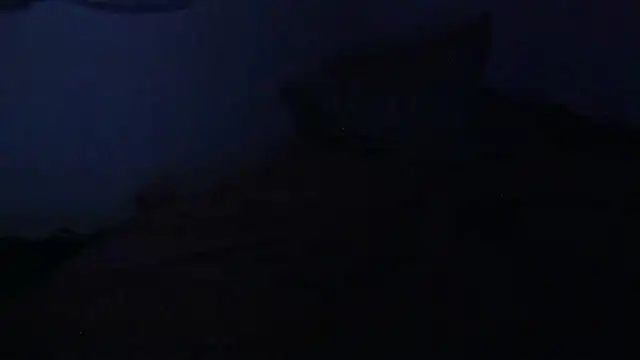 melany_filly webcam