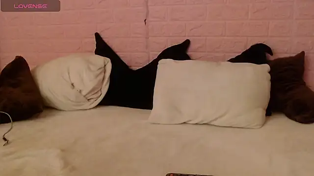 majumei webcam