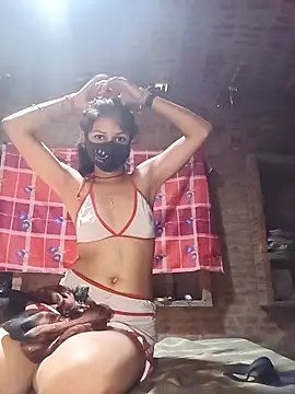 Model_816 webcam