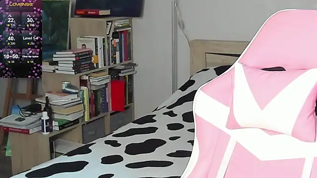 bbJ_one webcam