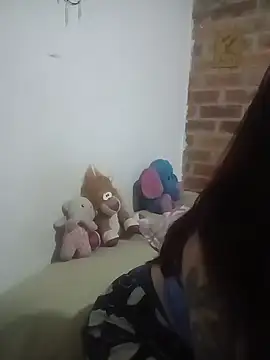 _Alaskamisa webcam