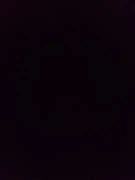 Ridick2025 webcam