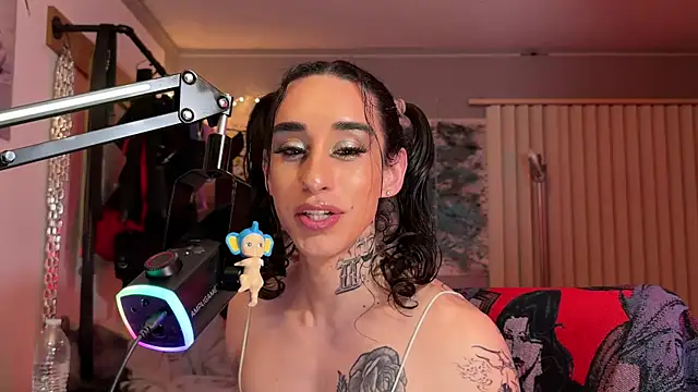 xoFrankie webcam