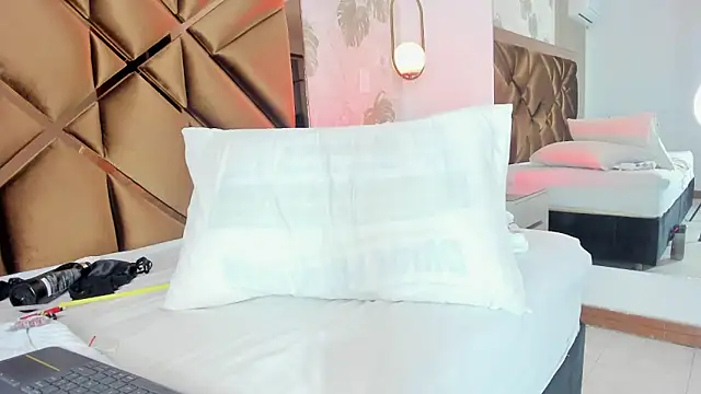 Alexa-Lynx webcam