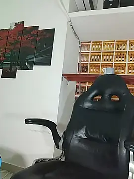 _Shirley_ webcam