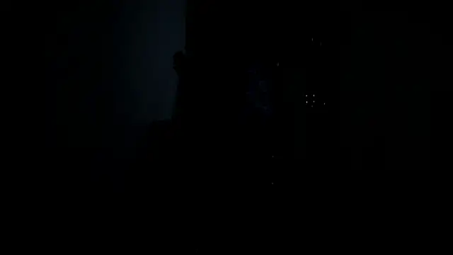 VincentSavage webcam