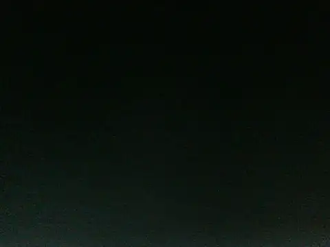 JANVI_06 webcam