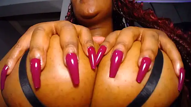 XPanther_24 webcam