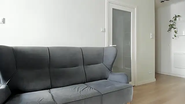 Dorimena webcam